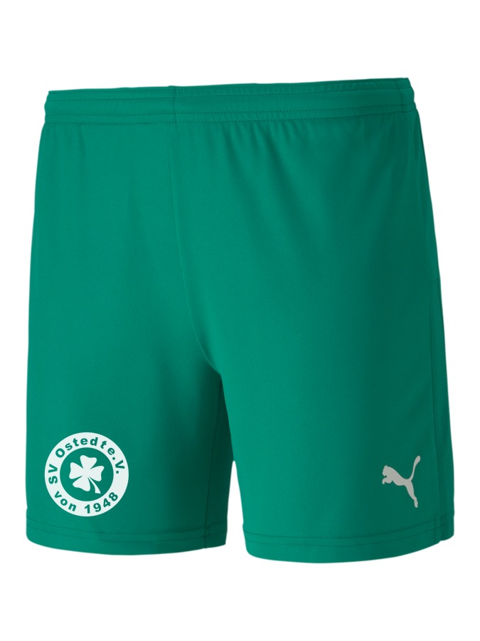 PUMA teamGOAL 23 Knit Shorts Damen