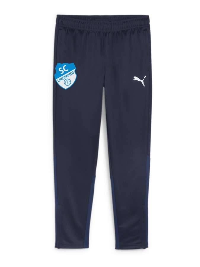 PUMA teamGOAL Trainingshose