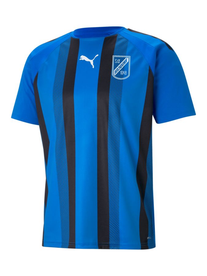 PUMA teamLIGA Striped Trikot