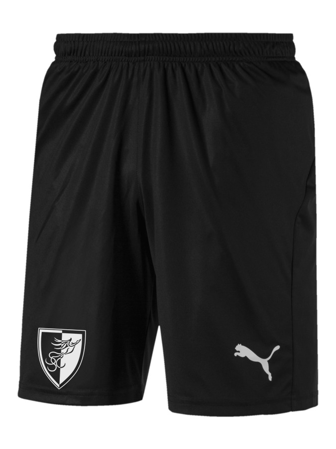 PUMA LIGA Shorts Core