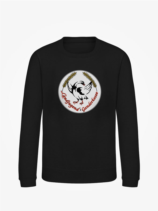 Sweatshirt Classic Kids