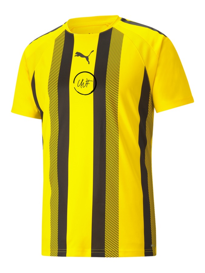 PUMA teamLIGA Striped Trikot
