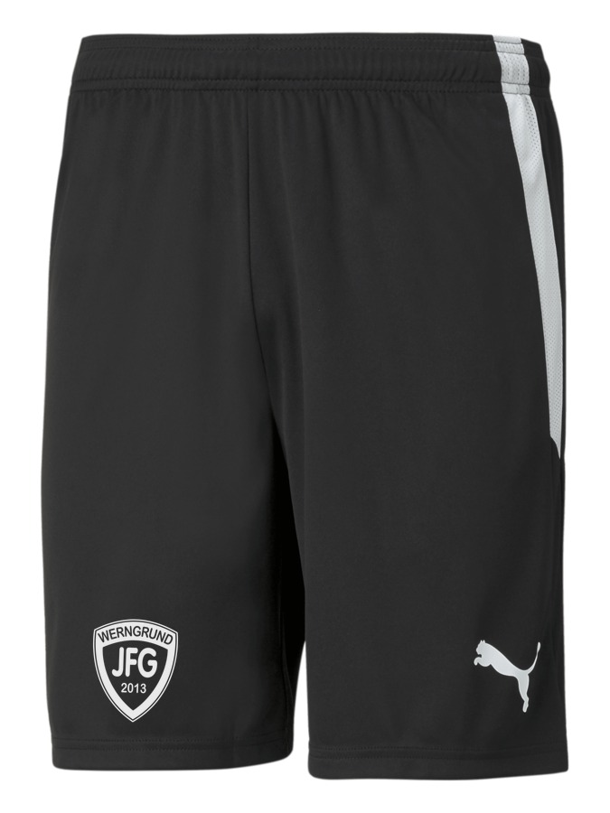 PUMA teamLIGA Shorts