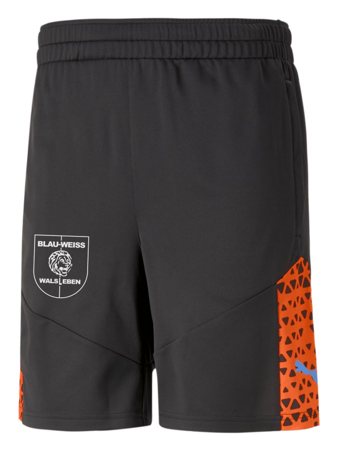 PUMA individualCUP Training Shorts
