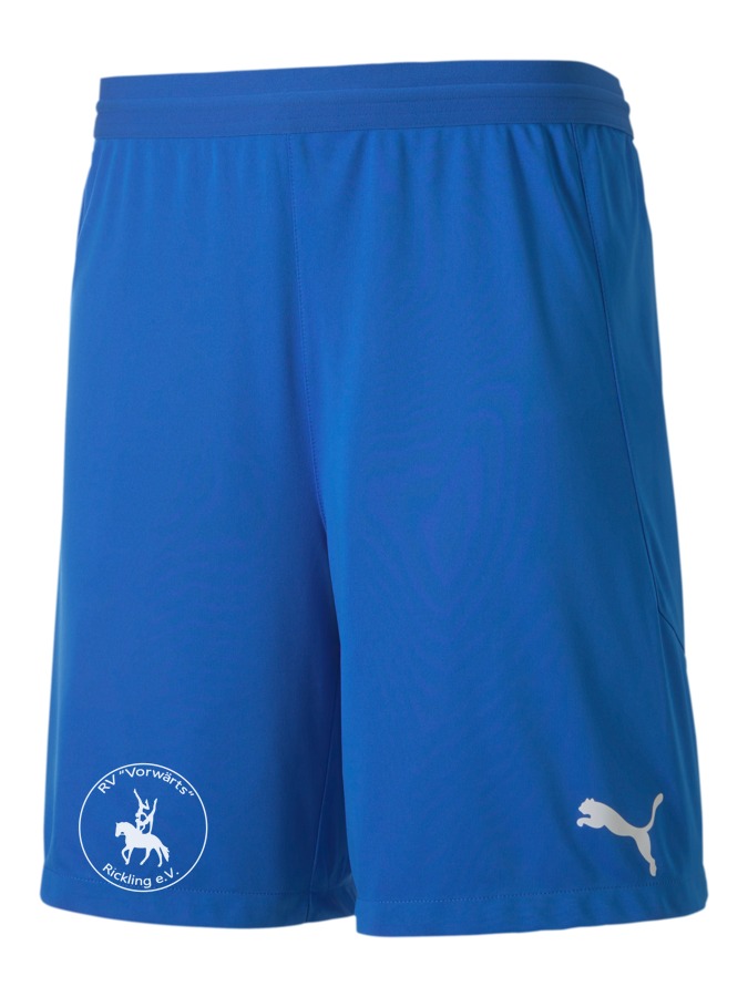 PUMA teamFINAL 21 Knit Shorts