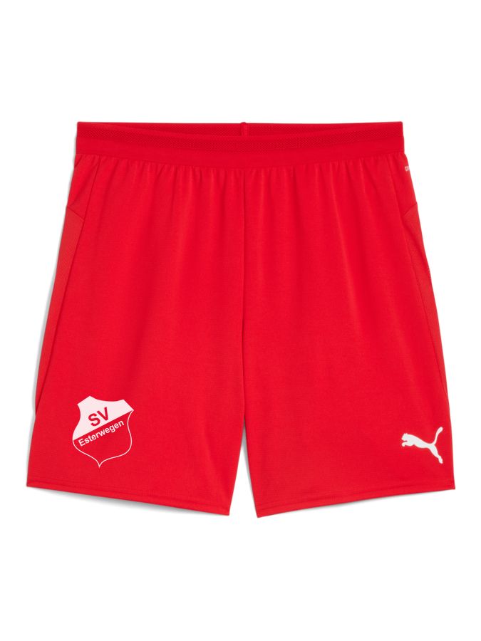 PUMA teamCUP Shorts
