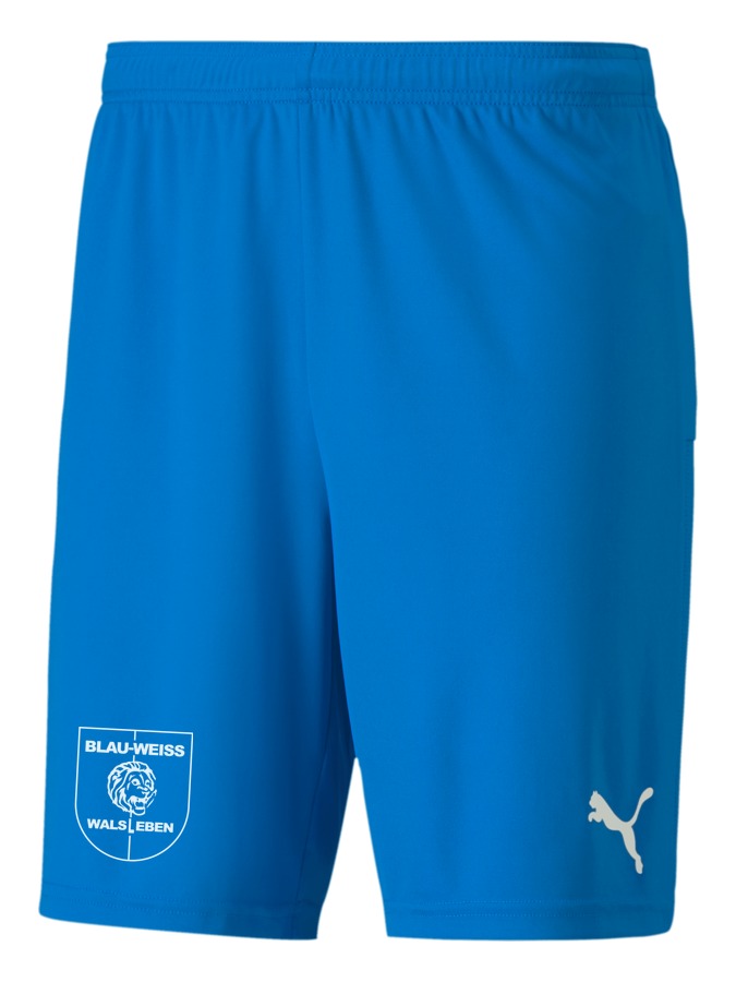 PUMA teamGOAL 23 Knit Shorts