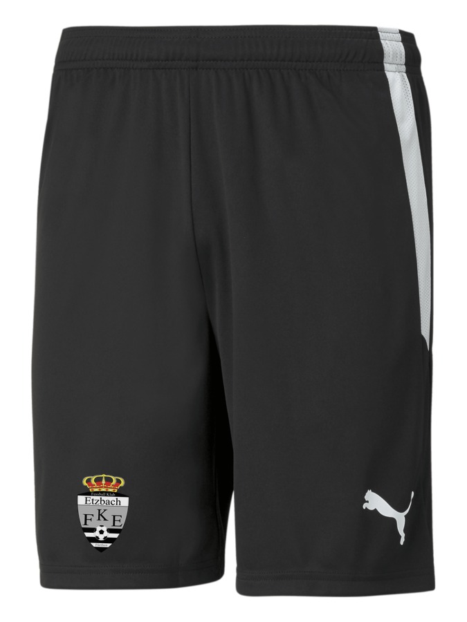 PUMA teamLIGA Shorts