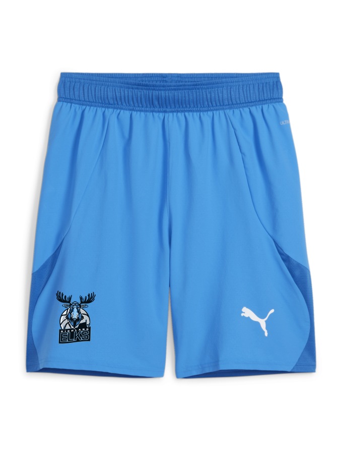 PUMA teamFINAL Shorts
