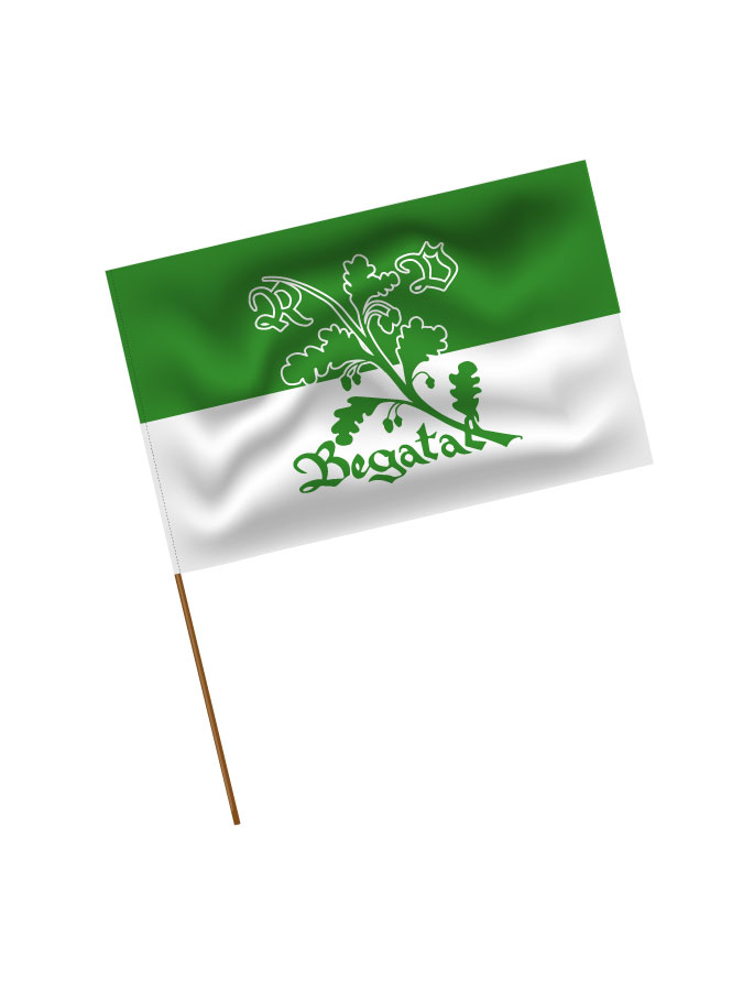 Stadionfahne Logo