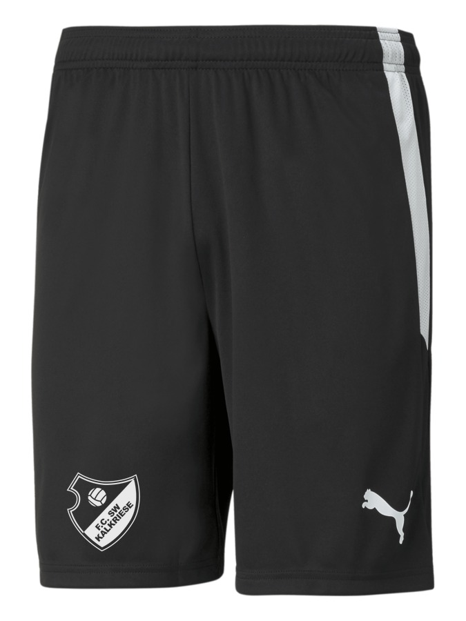 PUMA teamLIGA Shorts