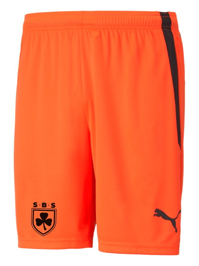 PUMA teamLIGA Shorts