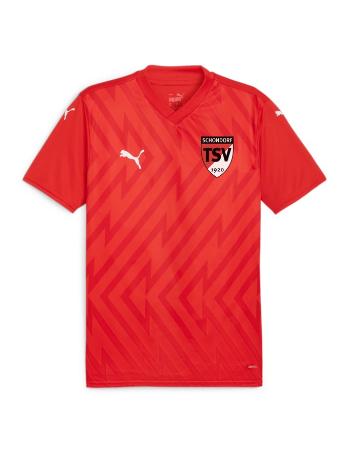 PUMA teamGLORY Trikot
