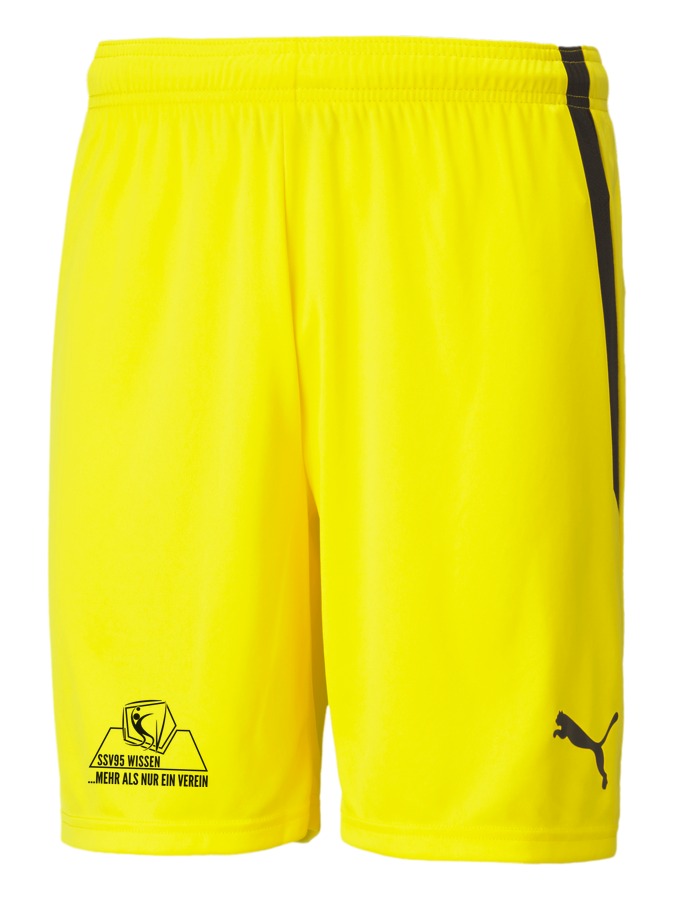 PUMA teamLIGA Shorts
