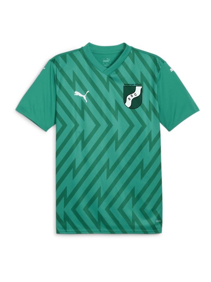 PUMA teamGLORY Trikot