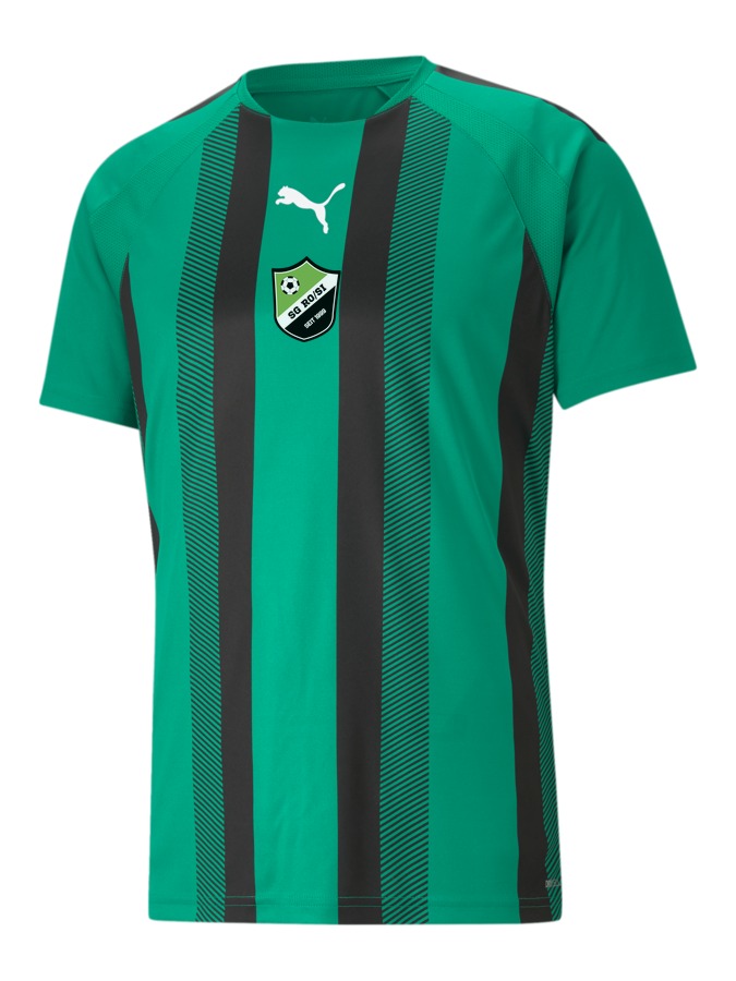 PUMA teamLIGA Striped Trikot
