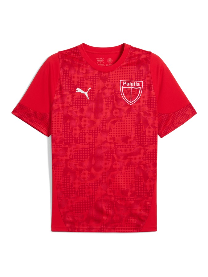 PUMA teamCUP Trainingsshirt