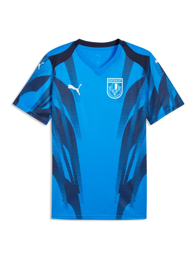 PUMA teamFINAL Graphic+ Trikot