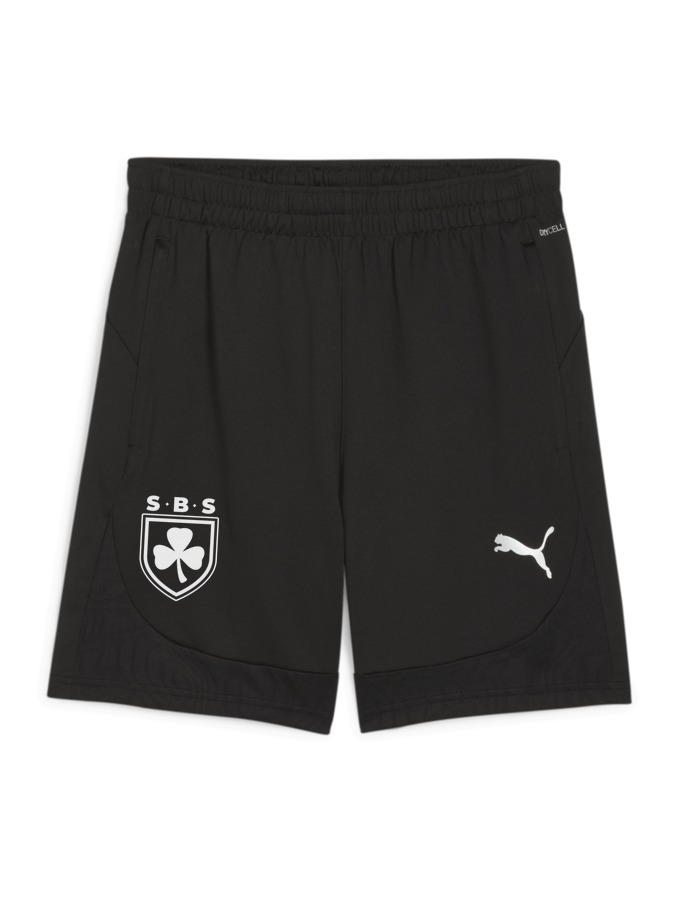 PUMA teamFINAL Training Shorts