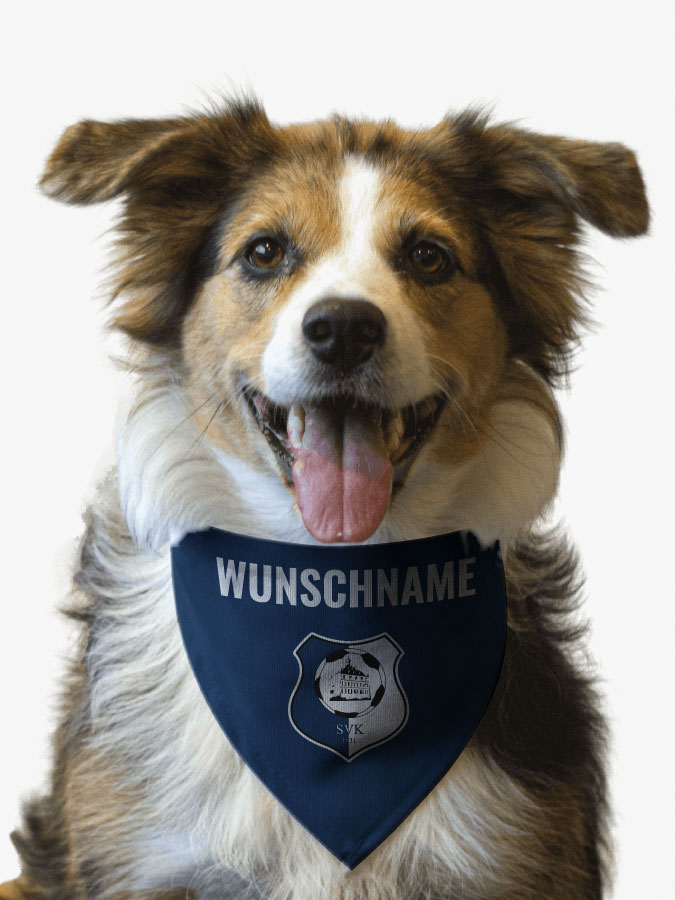 Hundehalstuch