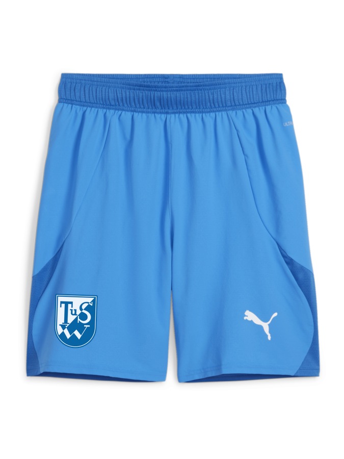 PUMA teamFINAL Shorts