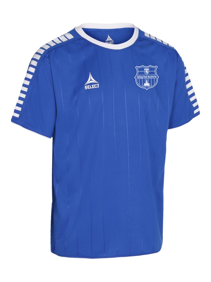 Select Argentina Trikot