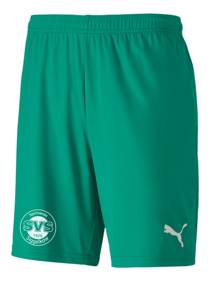 PUMA teamGOAL 23 Knit Shorts