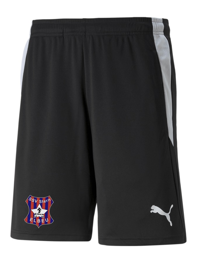 PUMA teamLIGA Referee Shorts