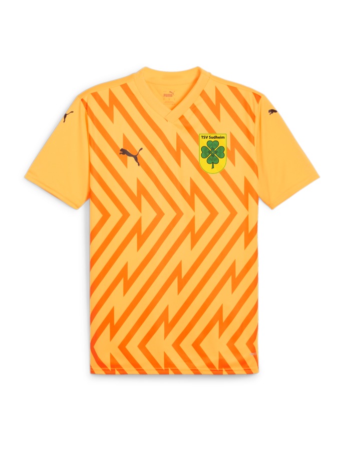 PUMA teamGLORY Trikot