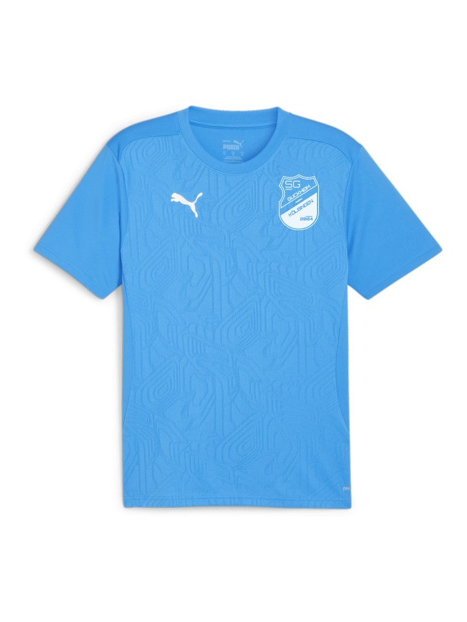 PUMA teamFINAL Trainingsshirt