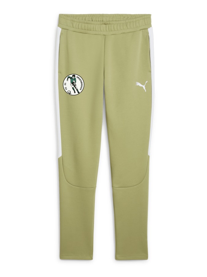 PUMA teamEVOSTRIPE Hose