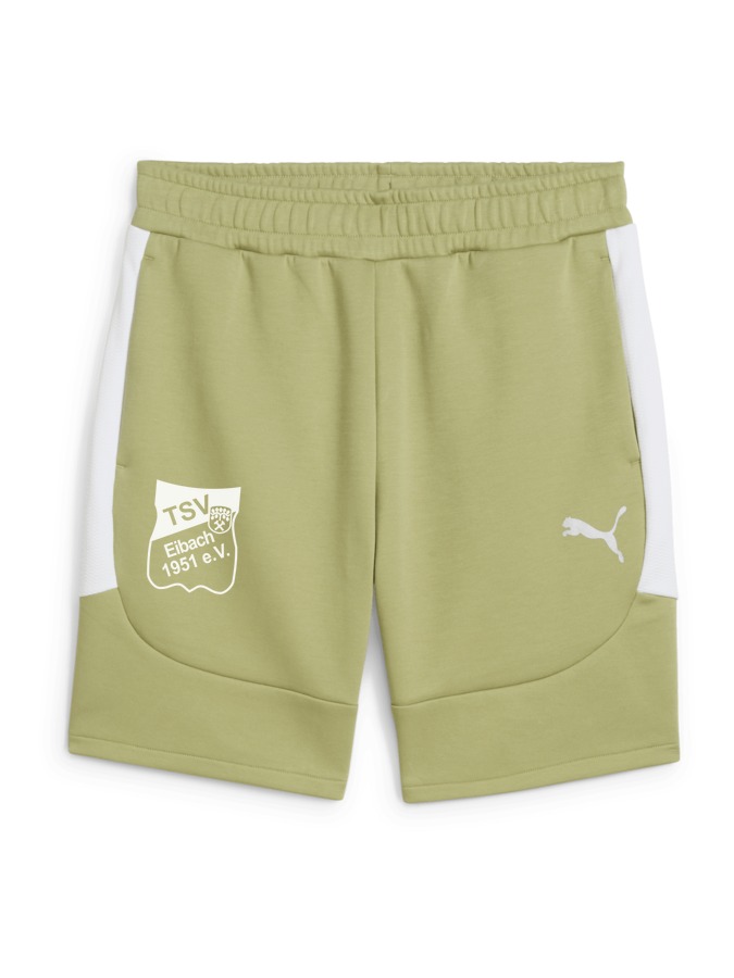 PUMA teamEVOSTRIPE Shorts