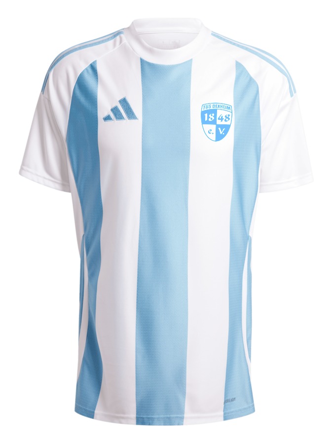 adidas Striped 24 Trikot