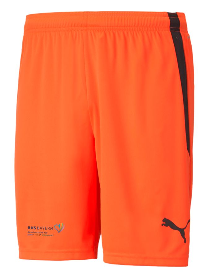 PUMA teamLIGA Shorts