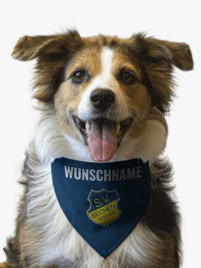 Hundehalstuch