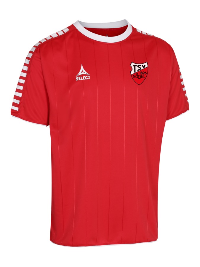 Select Argentina Trikot