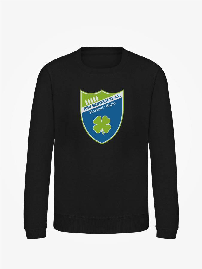 Sweatshirt Classic Kids