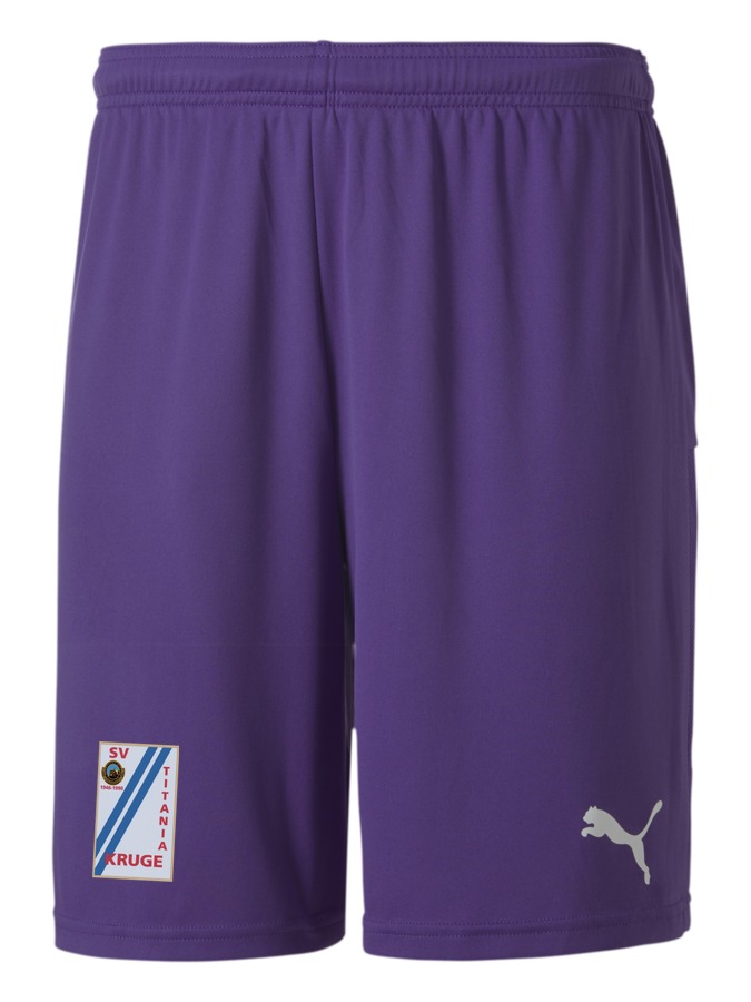 PUMA teamGOAL 23 Knit Shorts