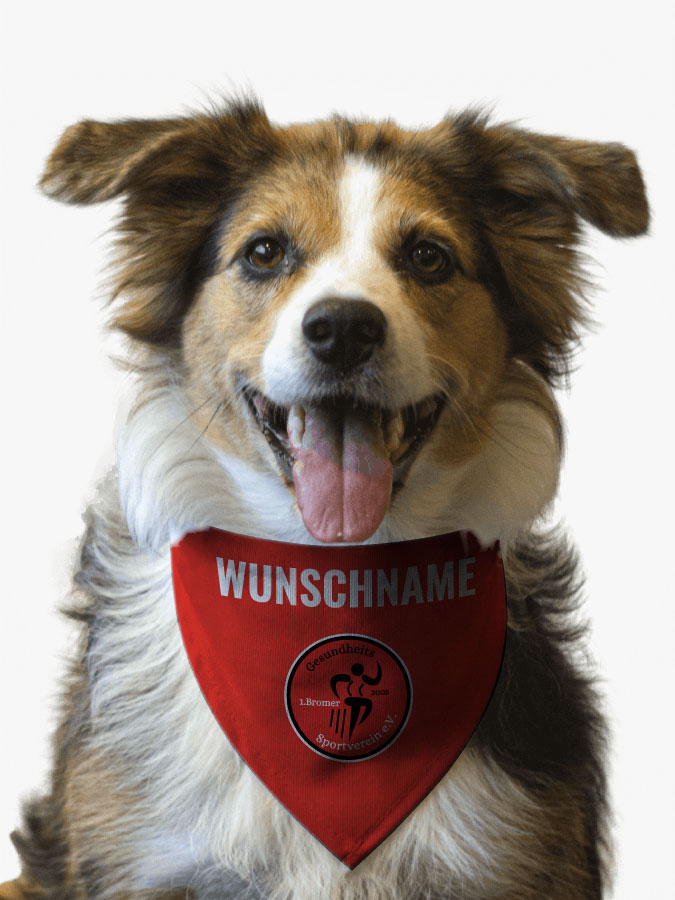 Hundehalstuch