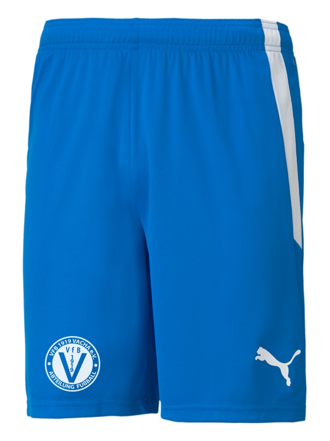 PUMA teamLIGA Shorts