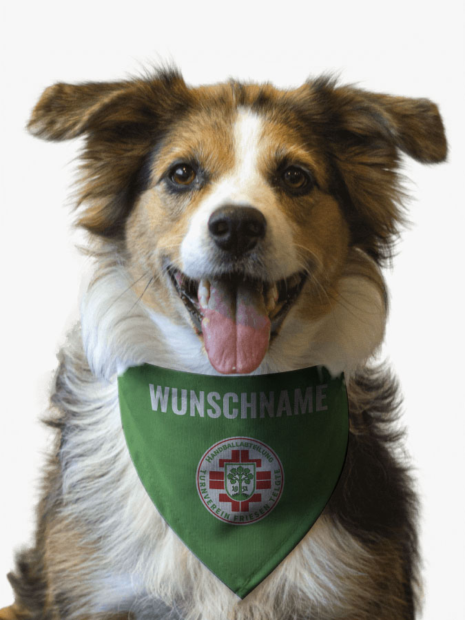 Hundehalstuch