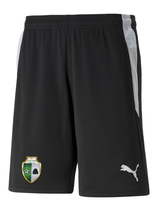 PUMA teamLIGA Referee Shorts