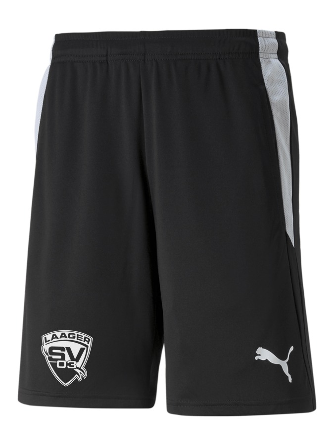PUMA teamLIGA Referee Shorts