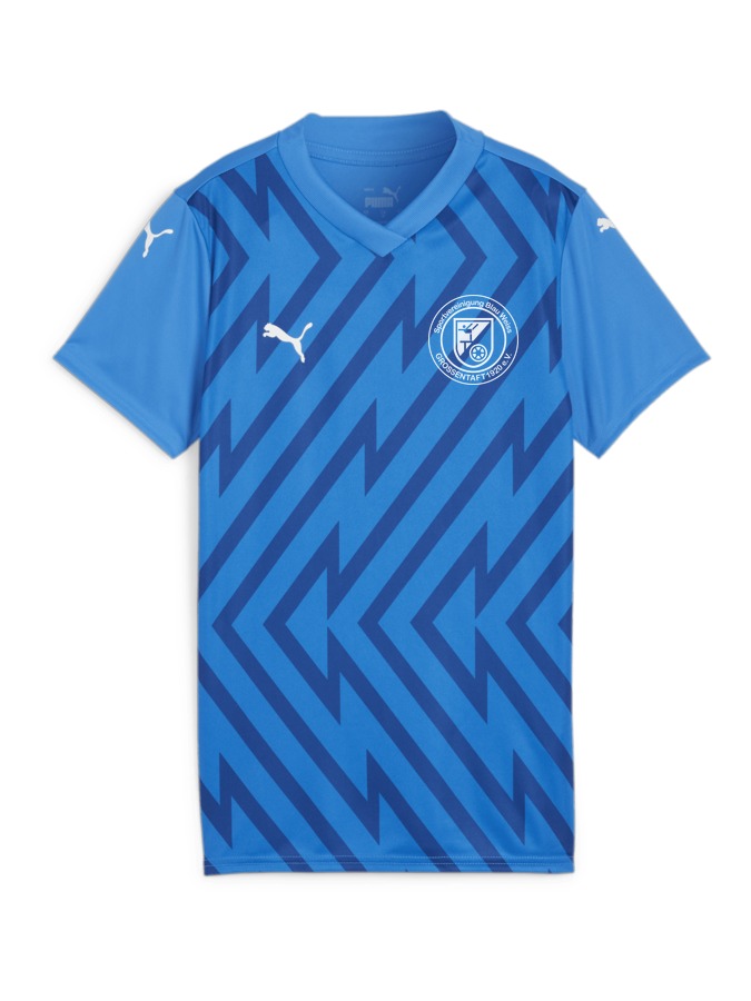 PUMA teamGLORY Trikot Damen