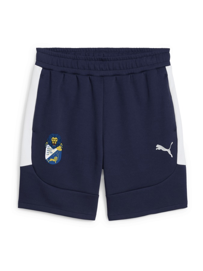 PUMA teamEVOSTRIPE Shorts