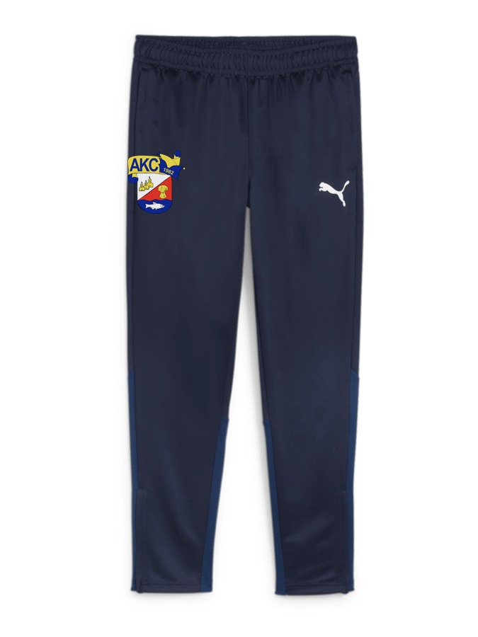 PUMA teamGOAL Trainingshose