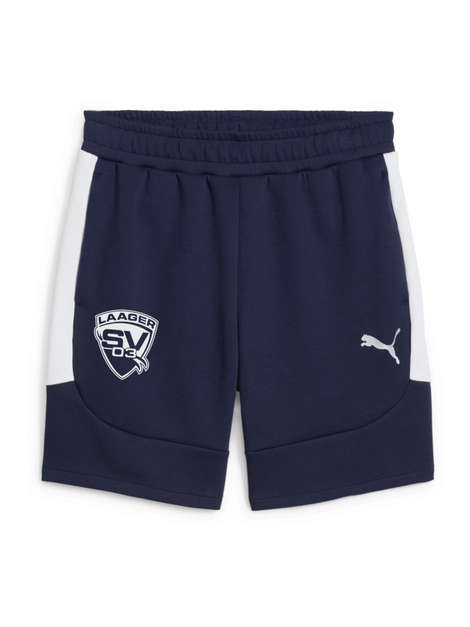 PUMA teamEVOSTRIPE Shorts