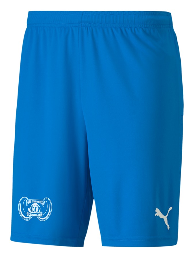 PUMA teamGOAL 23 Knit Shorts
