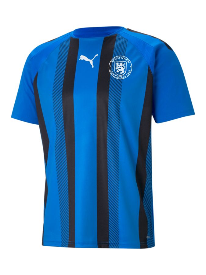 PUMA teamLIGA Striped Trikot