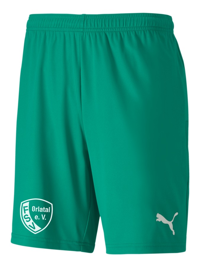 PUMA teamGOAL 23 Knit Shorts